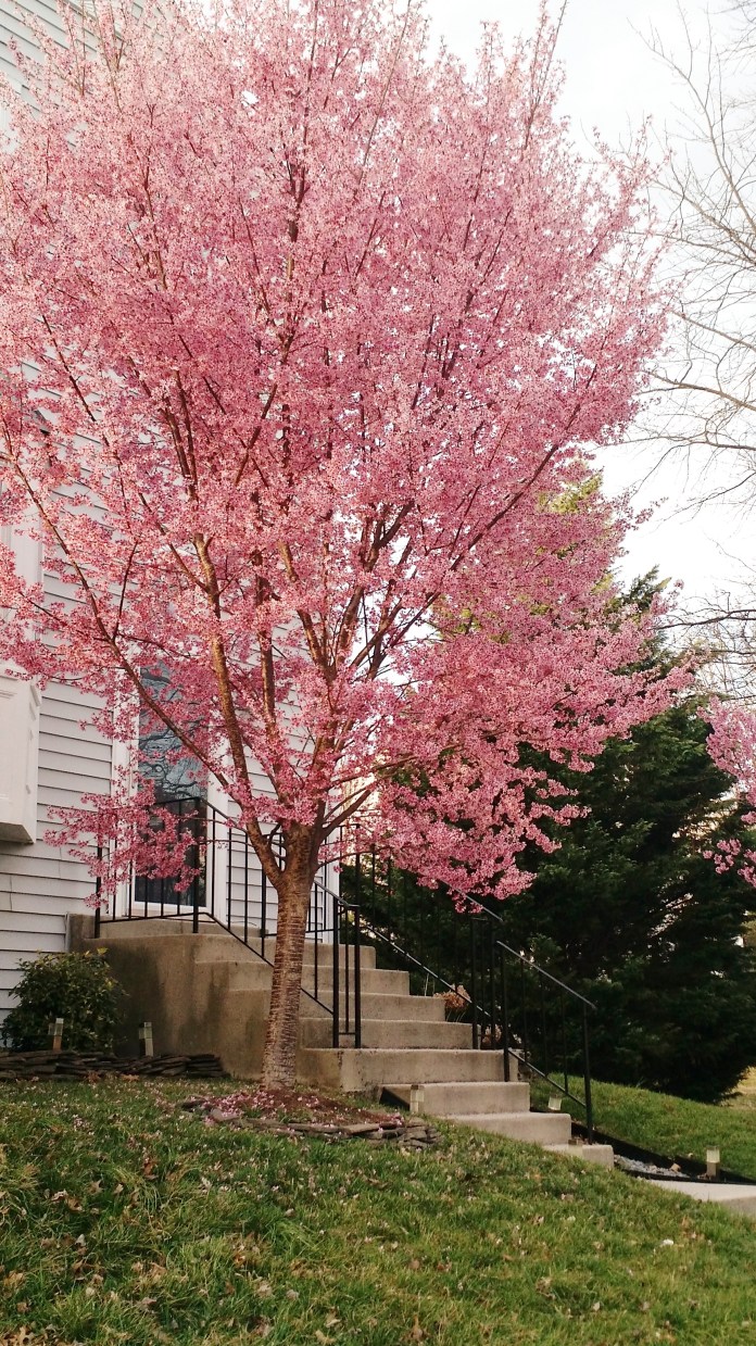 Spring Break athglitter.com